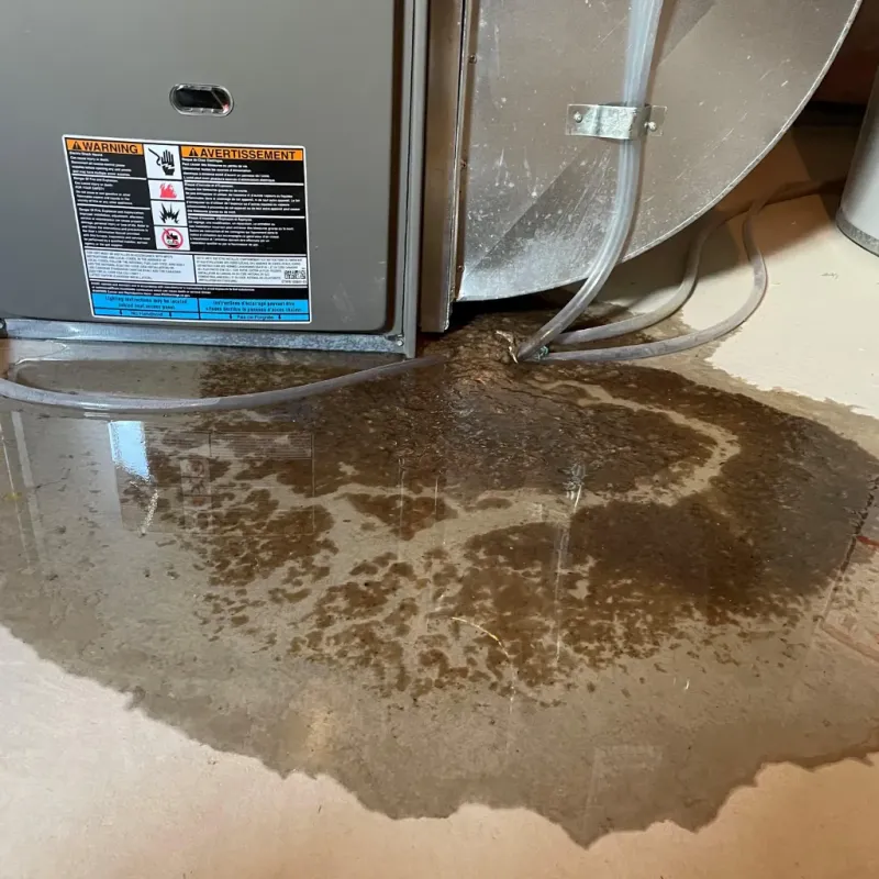 Appliance Leak Cleanup in Lisbon, ND